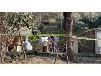 Arazi anlaşmazlığı nedeniyle abisini ve yengesini öldüren şahıs tutuklandı