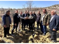 Mersin’de biberiye fidanları toprakla buluşturuldu