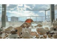 Türkiye’de bir ilk olan ‘Müze Belediye’ açılıyor