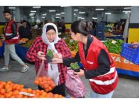 Başkan Böcek’ten, Alanyalı kadınlara aşk çiçeği hediyesi