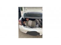 Hatay’da göçmen kaçakçılığı operasyonu: Bagaja bile göçmen saklamışlar