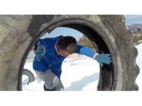 Öğrencilerin survivor parkuru