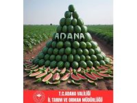 Adana karpuz üretiminde Türkiye’de birincisi oldu