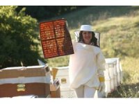 Arıcılık sektörünün kalbi İstanbul’da attı