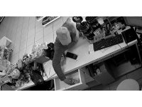 Güpegündüz girdiği marketten avuç dolusu parayı alıp kayıplara karıştı