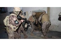 180 milyonluk sazan sarmalı operasyonu: 32 gözaltı