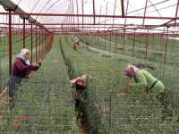 HEKİMOĞLU BELEDİYEYE İHRACAT YAPTIRACAK