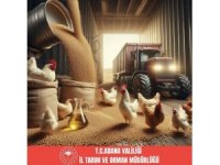 Adana soya üretiminde Türkiye birincisi oldu