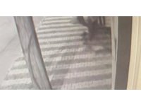 Motosiklet hırsızlığı yapan şahıs güvenlik kameralarına yansıdı