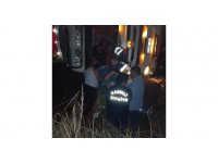 Canlı tavuk yüklü tır devrildi yüzlerce tavuk telef oldu