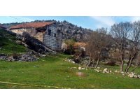 Mezarlık ziyaretine giden yaşlı kadına çoban köpekleri saldırdı