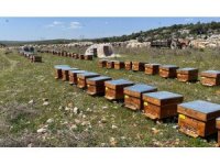 Mersin’de arıcılara 4 milyon 200 bin TL destek sağlandı