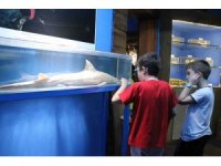 Antalya’da denizciliğin geliştirilmesi adına çalışmalarını sürdürülüyor