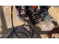 Atık su giderine yavrulayan anne kedi ve yavruları kurtarıldı