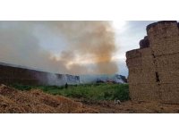 Adana’da saman balyalarının bulunduğu alanda yangın çıktı