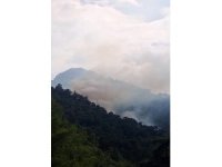 Kemer’de orman yangını