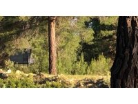 Bağ evinde korkunç ölüm: Boşanma aşamasındaki çift intihar etti