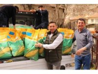 Büyükşehir Belediyesi’nden silajlık mısır tohumu desteği