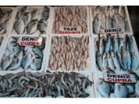 Av yasağının başlamasıyla balık çeşitliliği azalacak, fiyatlar aynı kalacak