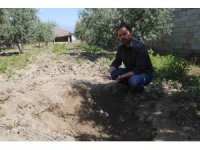 Bahçesini çapalayan çiftçinin pulluğuna takılan küpten Bizans dönemi sikkeleri çıktı