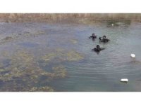 Dalgıçlar Eğirdir Gölü’nde temizlik çalışması yaptı