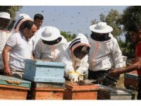 Mersin’de ’Narenciye Balı Hasat Şenliği’ düzenlendi