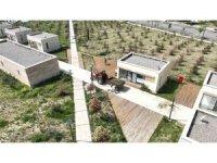 Kılavuzlu Millet Bahçesi bakıma alındı