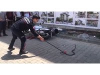 Gazipaşa’da yılan paniği