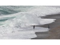 Sarı kodla uyarılan Antalya’da şiddetli rüzgar etkili oluyor