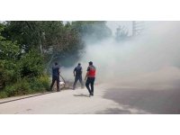 Defne’de ağaçlık alanda çıkan yangın söndürüldü