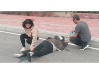 Fırtına kazaya sebep oldu, sürücüye ilk müdahaleyi kadın fizyoterapist yaptı