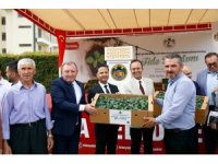 Alanya Belediyesi’nden kırsal mahallelere 311 bin fide desteği