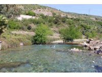 Sıcaktan bunalan depremzedeler, doğal kaynak suyunda serinledi