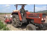 Osmaniye’de yer fıstığı tohumları toprakla buluştu