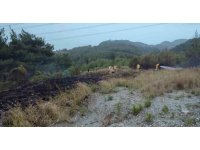 Dörtyol’da çıkan orman yangını söndürüldü