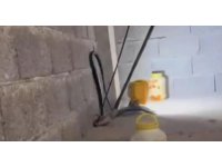 İtfaiyeden yılan operasyonu