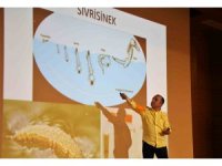 Antalya’da "sineksiz yaz" için ekipler hem sahada hem eğitimde