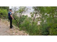 Kekik toplarken yüksekten düşen adam yaralandı