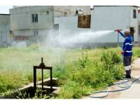 Büyükşehir; 450 personel, 100 araç ile haşereyle mücadele ediyor