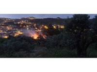 Yıldırım düşen ağaçlık alanda yangın çıktı