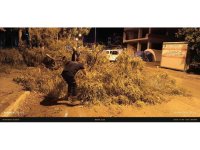 Defne’de devrilen ağaç ekipler tarafından kaldırıldı