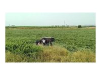 Kozan’da kaza: 1 ölü, 2 yaralı