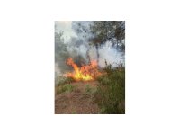 Yayladağı’nda ormanlık alanda çıkan yangın söndürüldü