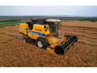 Adana’da buğday hasadı başladı, verim yüzleri güldürdü