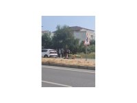 Alkollü sürücünün çarptığı yaya hayatını kaybetti
