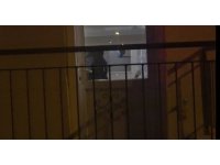 Antalya’da Pakistanlı kadın kanlar içerisinde ölü bulundu, öğretmen oğlu gözaltına alındı