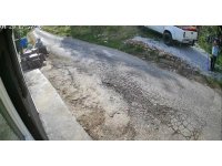 Antalya’da kedi köpek oteline silahlı ve uçan tekmeli saldırı