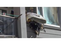 Balkonda alev alan yatak korkuttu