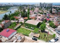 ’Yeşil Cami’ sarmaşıklarına kavuştu