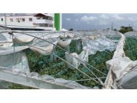 Mersin’de şiddetli fırtına seralara zarar verdi